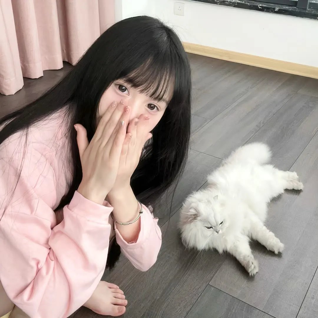 豪客